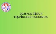 2025/133 İŞKUR Teşvikleri Hakkında