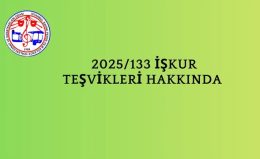 2025/133 İŞKUR Teşvikleri Hakkında